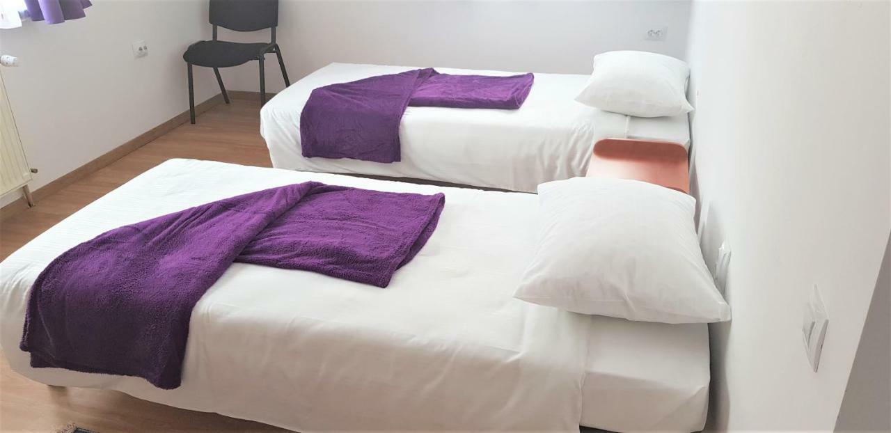 Coroian House Apartment Cluj-Napoca Ngoại thất bức ảnh