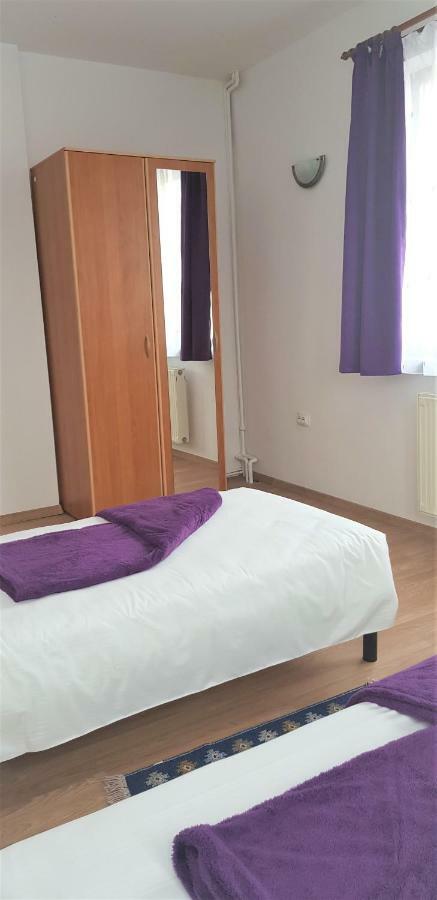 Coroian House Apartment Cluj-Napoca Ngoại thất bức ảnh