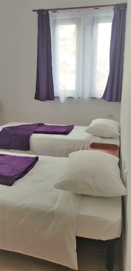 Coroian House Apartment Cluj-Napoca Ngoại thất bức ảnh